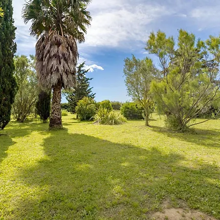 T3 Grand Jardin Proche Saint-Cyprien (Pyrenees-Orientales)